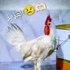 alsadymlok