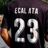 ecal390