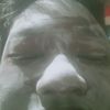 panda_816281