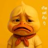 aom23991