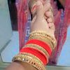 saera5681