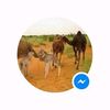 user8811462602009
