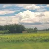 tolanguoitramtinha