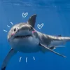 lulushark7