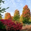 nature_lover0625