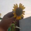 muhammad.sameed87