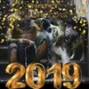 user2656143082018