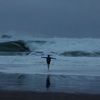 sea7091