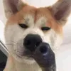 embemuadong19