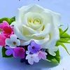 alihaidarshah08