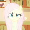 nnieshy