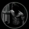 haider_ml2