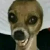 tfdprala
