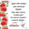 user31323606970197