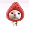 mayla_3524