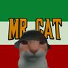 mr.cst0001