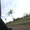 videos.comigo0