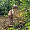 nguyt.bo.lm.nng