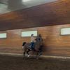 sophia.kepsaddleseat