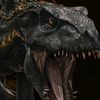 indoraptor1781