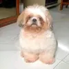 gean.sugpatan