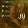 user8392368217658