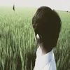 t08ple3