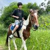 tf_stan_official_