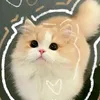 phnghongphng37
