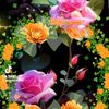 ramlo.mxamd5509