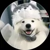 nguyengre5