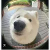 thuonng44