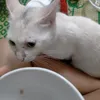 ggffdhjjkk