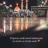 islamforever202
