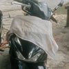 kuciang_balang