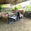 sambogank71