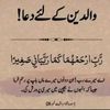 user443590229