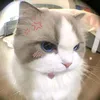 kilowwat