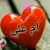 user4633591752624