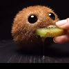 kiwi_niche5