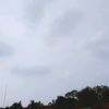 syaaa_12151