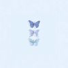 sky_blue3381