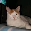 melise_008