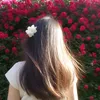_bunkute.4