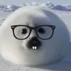 sealosophy