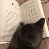aleereads16