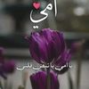user5446656720069