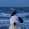 itzurgurlchloe07