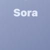 soravids2.0