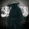 _z8qn